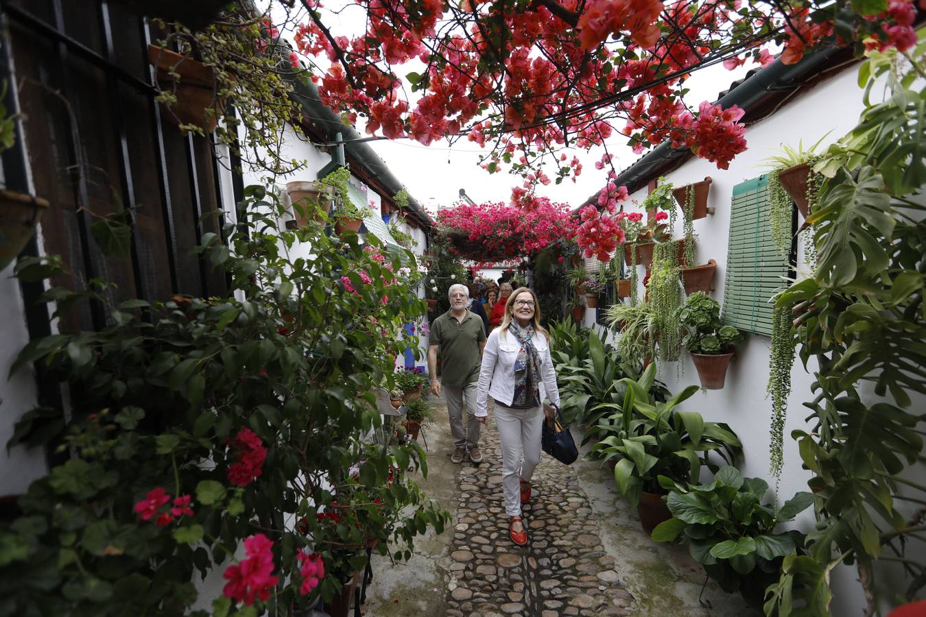 Los detalles del patio de Marroquíes, 6 en Córdoba, en imágenes