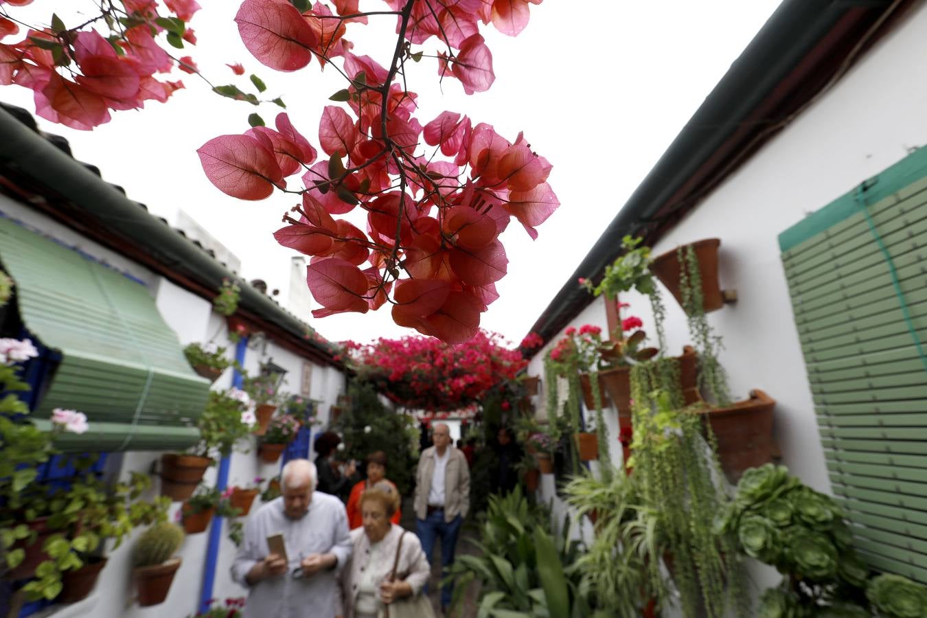 Los detalles del patio de Marroquíes, 6 en Córdoba, en imágenes