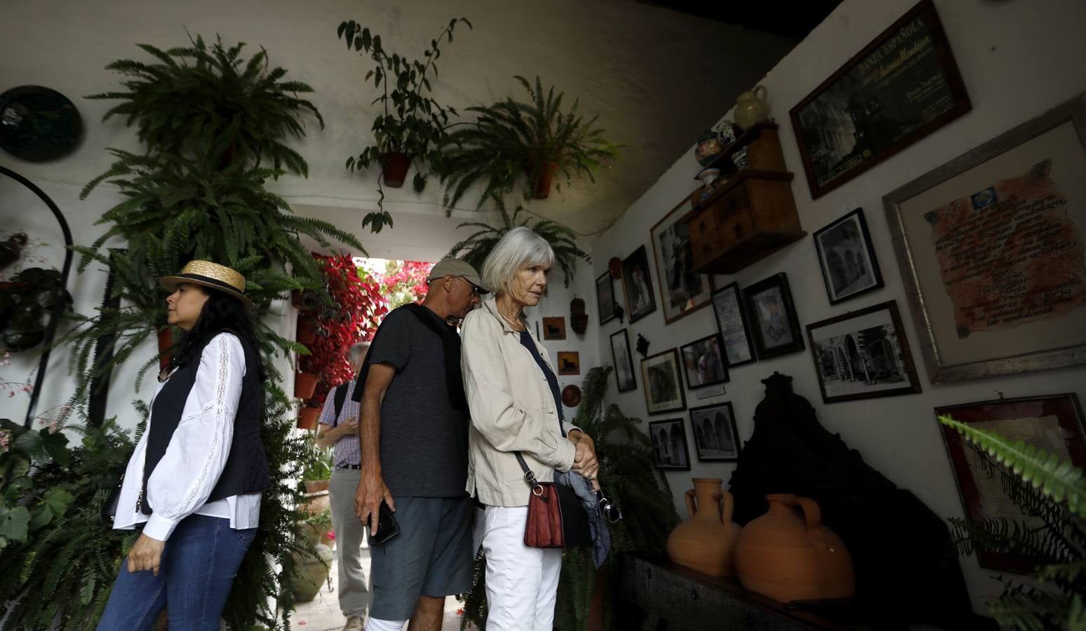 La belleza de los Patios de Córdoba en San Pedro, en imágenes