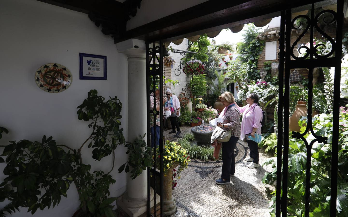 La belleza de los Patios de Córdoba en San Pedro, en imágenes