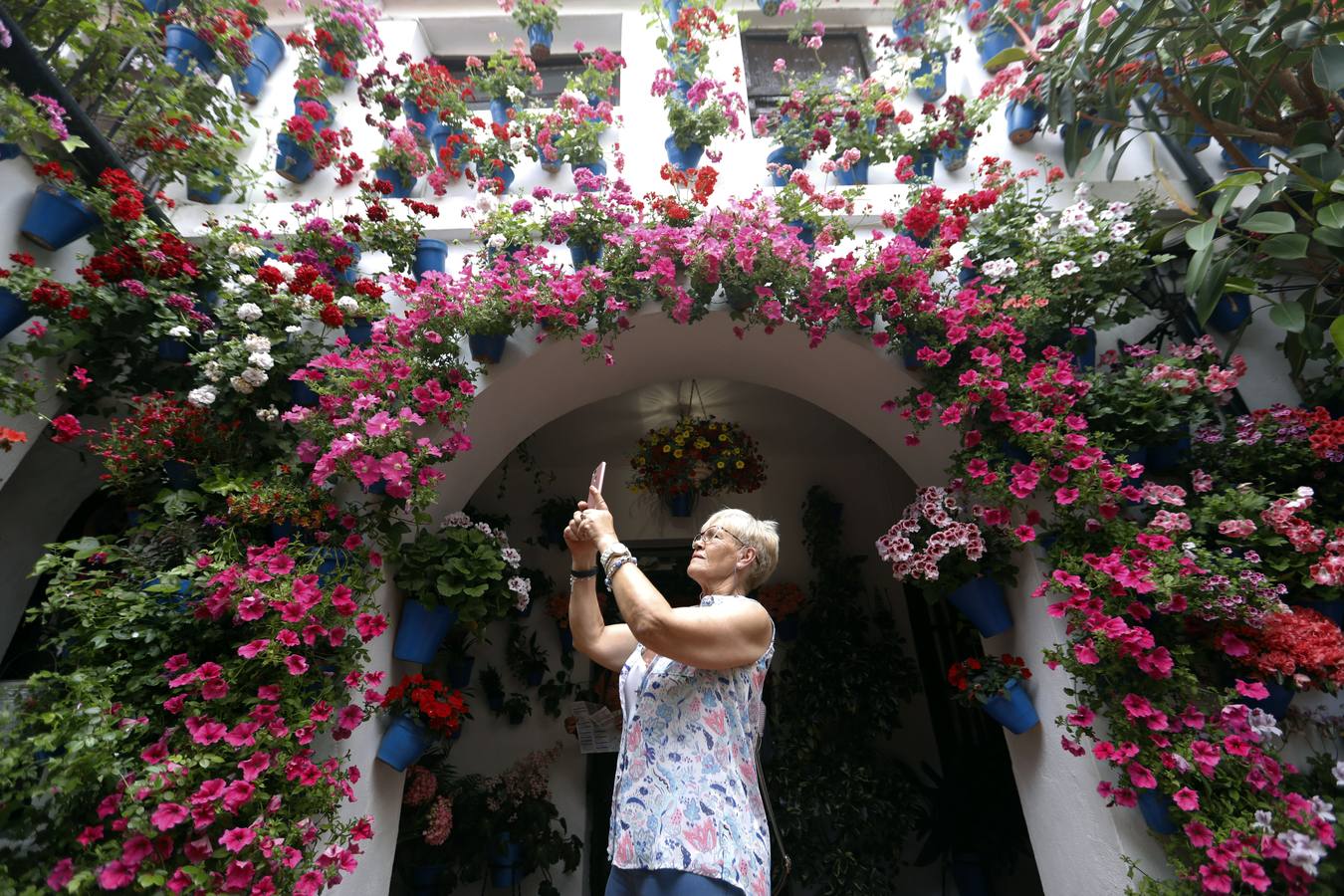 La belleza de los Patios de Córdoba en San Pedro, en imágenes