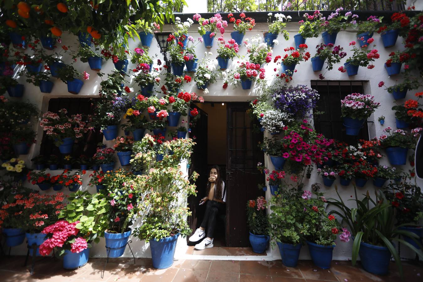 La belleza de los Patios de Córdoba en San Pedro, en imágenes