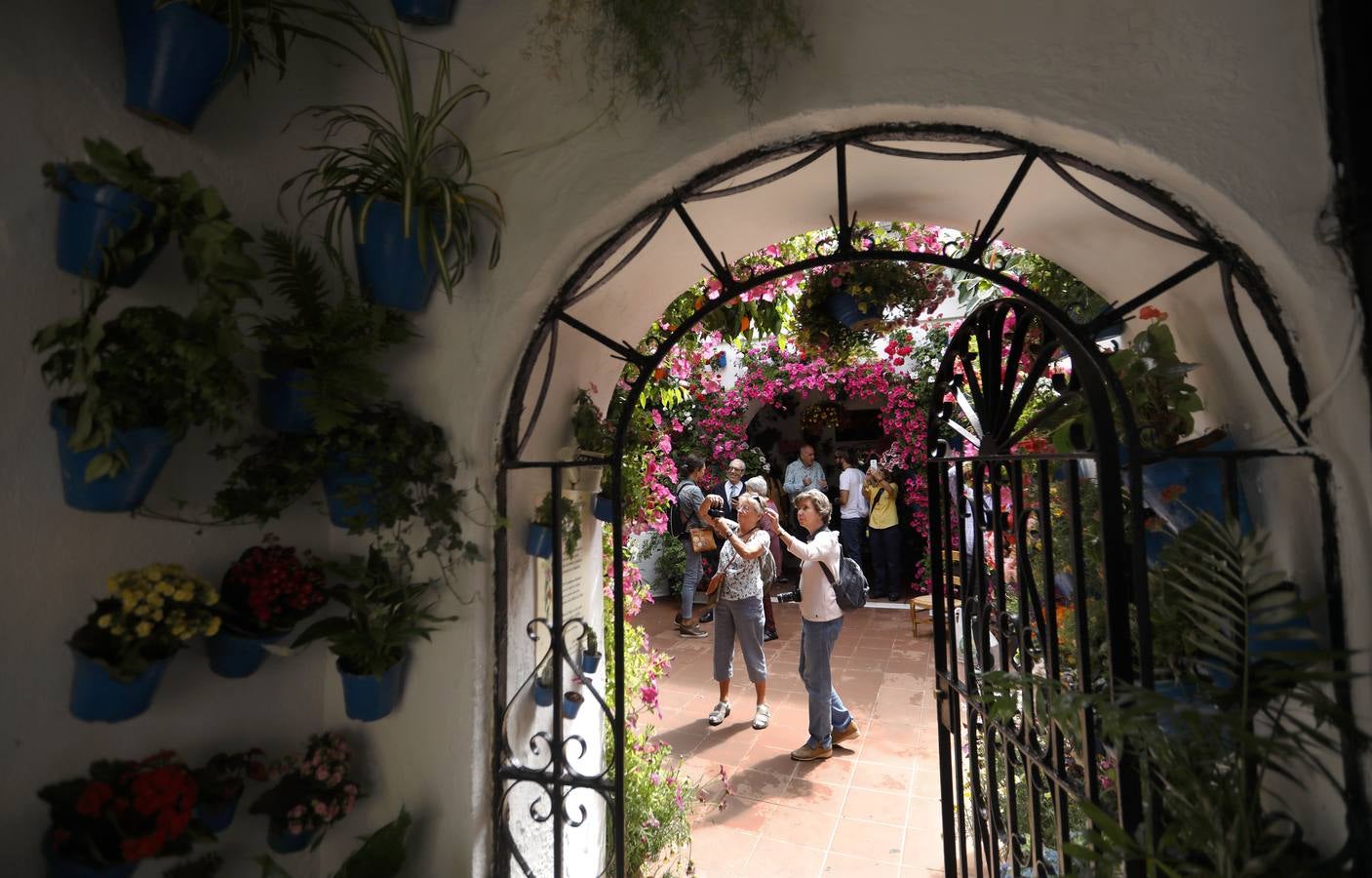 La belleza de los Patios de Córdoba en San Pedro, en imágenes