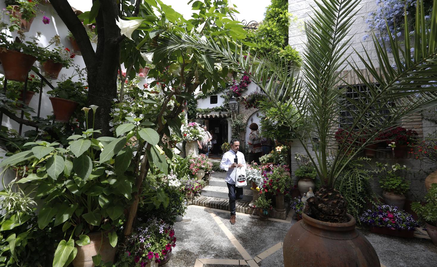 La belleza de los Patios de Córdoba en San Pedro, en imágenes