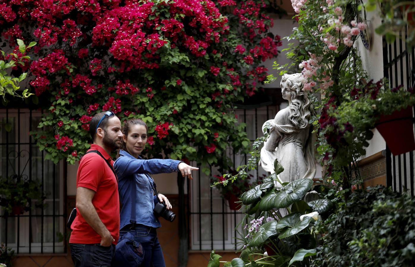 La belleza de los Patios de Córdoba en San Pedro, en imágenes