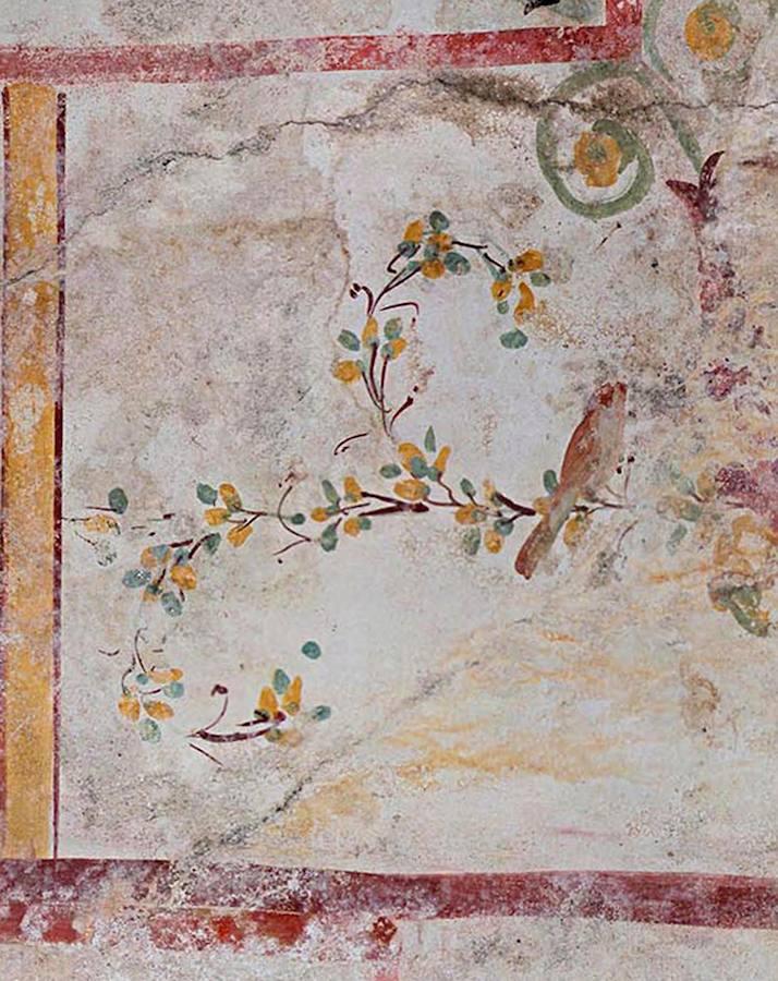 ...un paisaje con pájaros, dibujos de columnas, todo decorado con motivos vegetales, guirnaldas, y estelas de colores como el verde, el amarillo o el rojo.. 