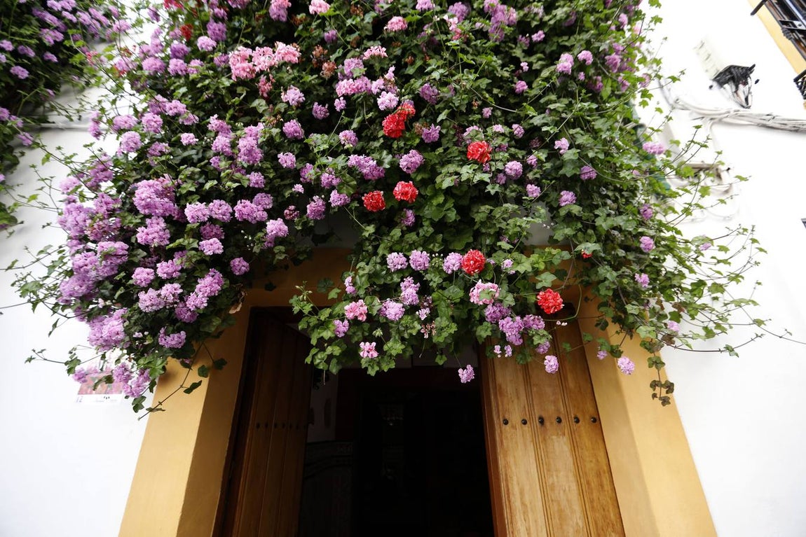 Las rejas y balcones de Córdoba, en imágenes