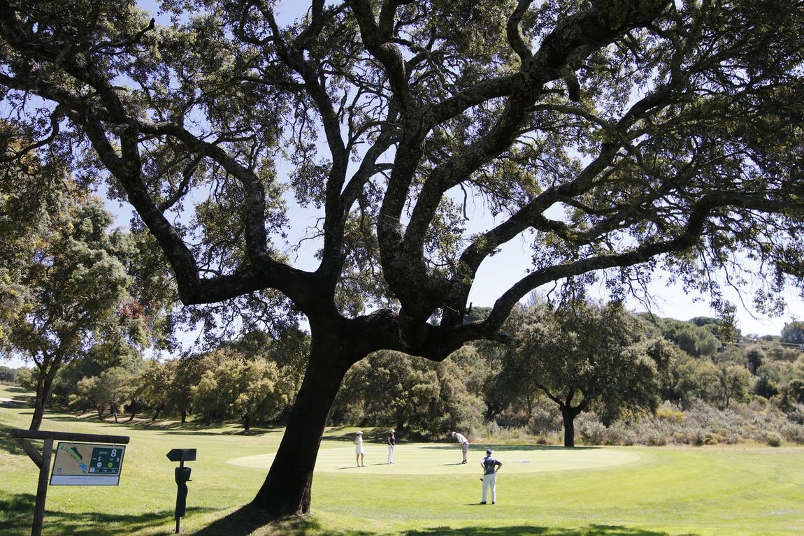 El primer día de la Copa Albolafia, en imágenes