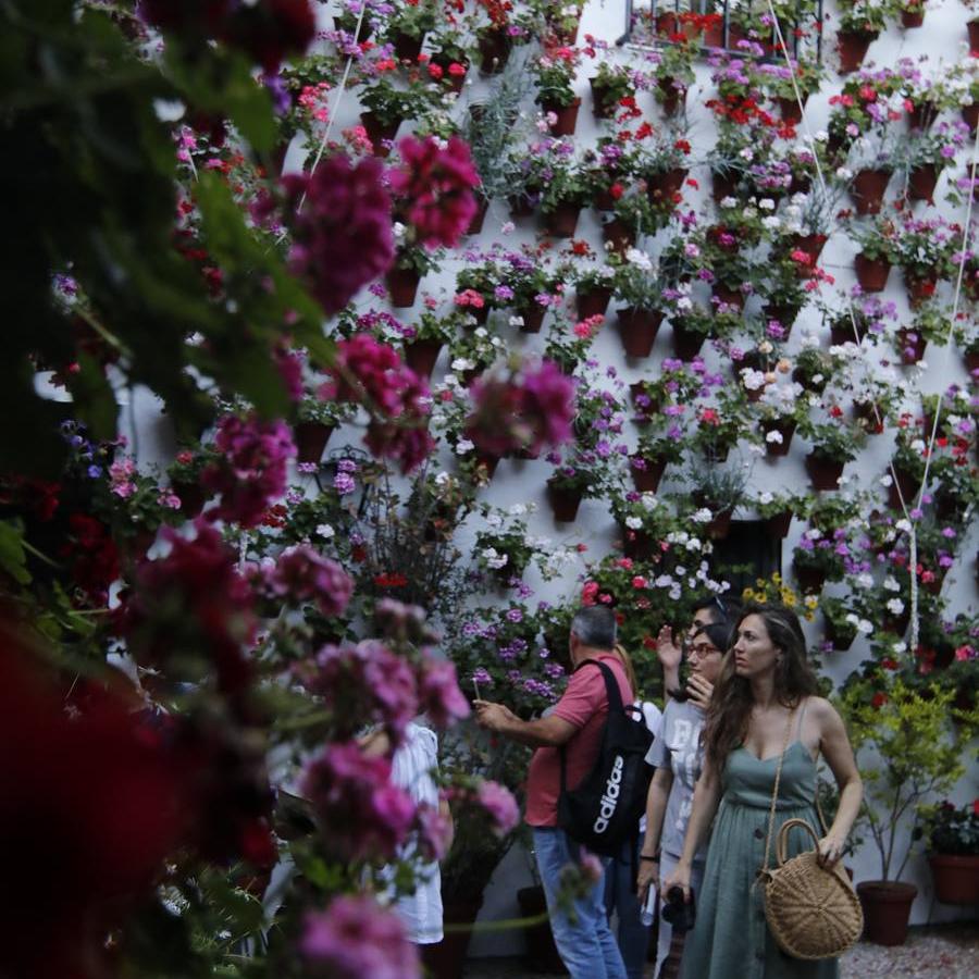 El ambiente para visitar los Patios de San Basilio en Córdoba, en imágenes