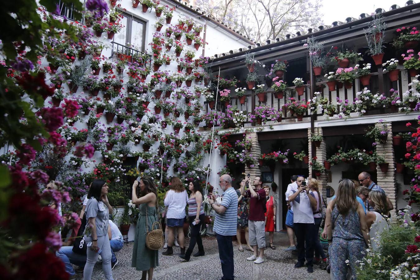 El ambiente para visitar los Patios de San Basilio en Córdoba, en imágenes