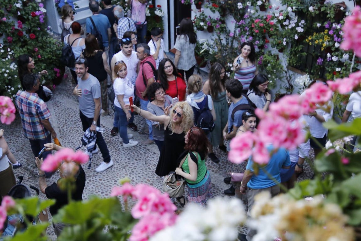 El ambiente para visitar los Patios de San Basilio en Córdoba, en imágenes