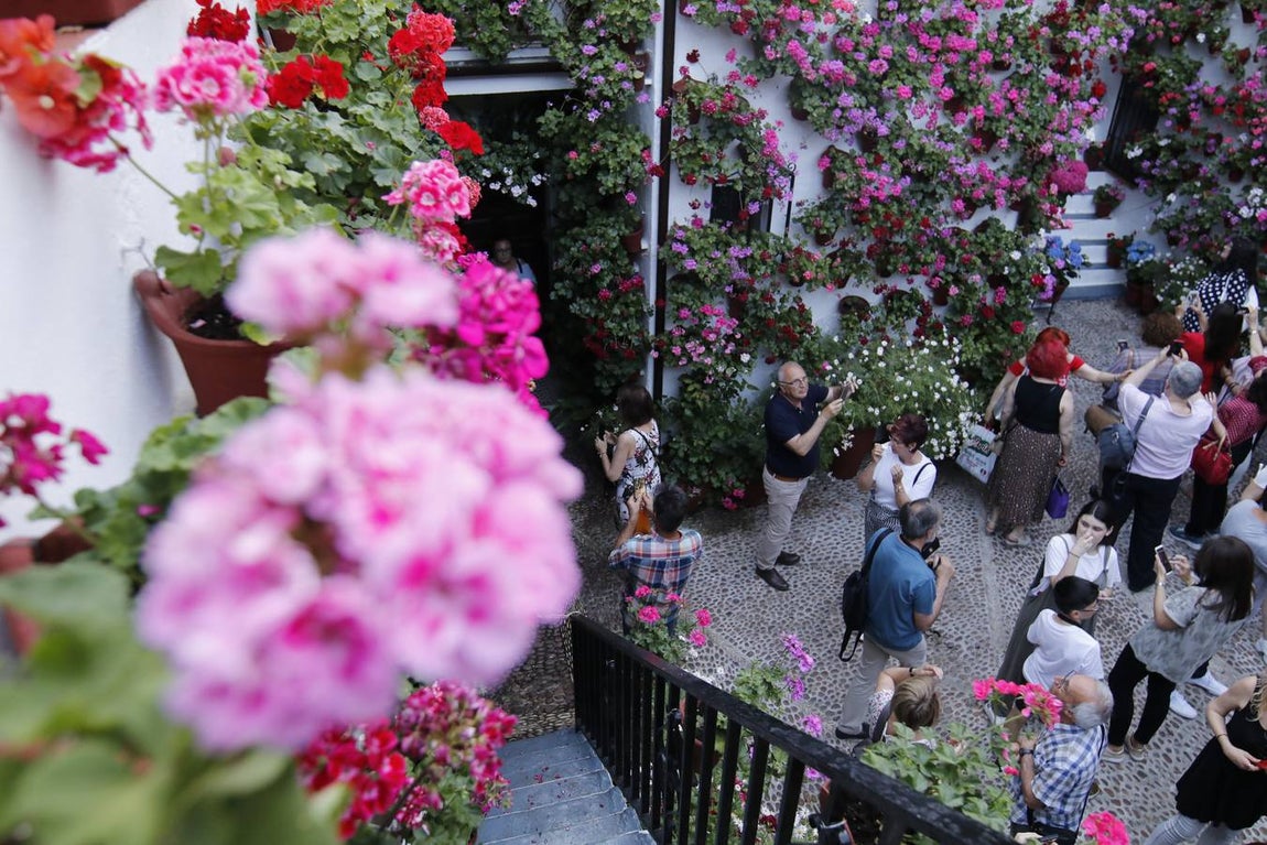 El ambiente para visitar los Patios de San Basilio en Córdoba, en imágenes