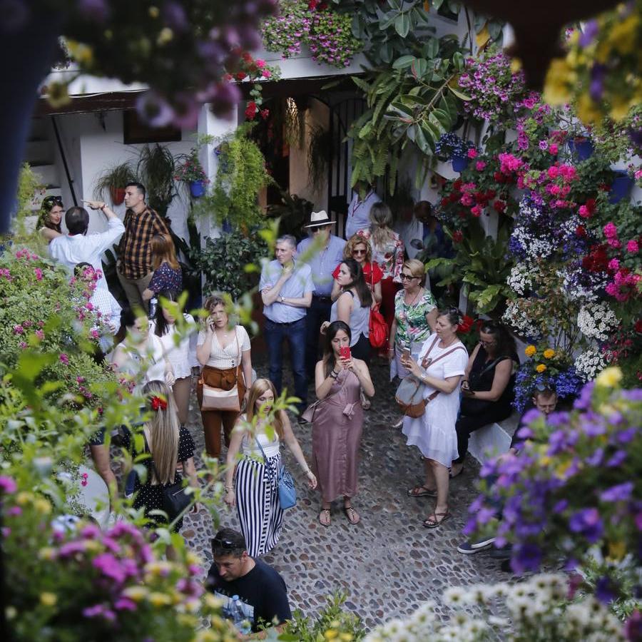 El ambiente para visitar los Patios de San Basilio en Córdoba, en imágenes