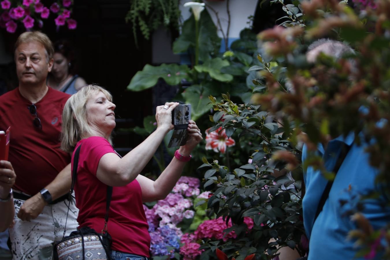 El hechizo de los Patios de Córdoba en Regina y Realejo, en imágenes