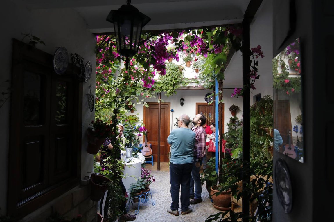 El hechizo de los Patios de Córdoba en Regina y Realejo, en imágenes