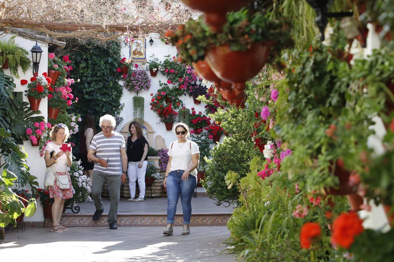 El hechizo de los Patios de Córdoba en Regina y Realejo, en imágenes