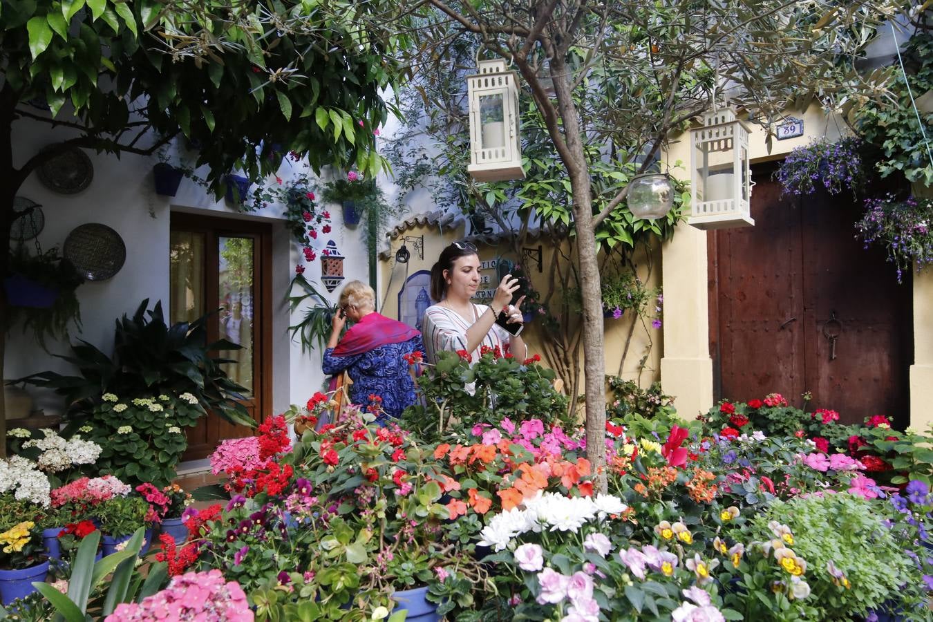 El hechizo de los Patios de Córdoba en Regina y Realejo, en imágenes