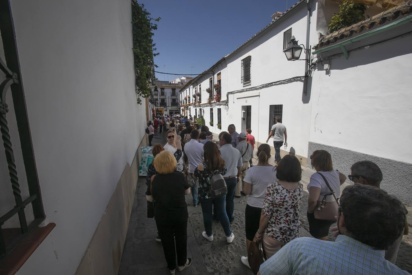 Bullas y belleza de los Patios de Córdoba, en imágenes