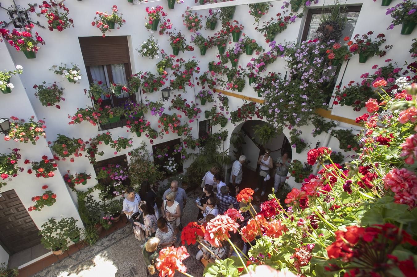 Bullas y belleza de los Patios de Córdoba, en imágenes