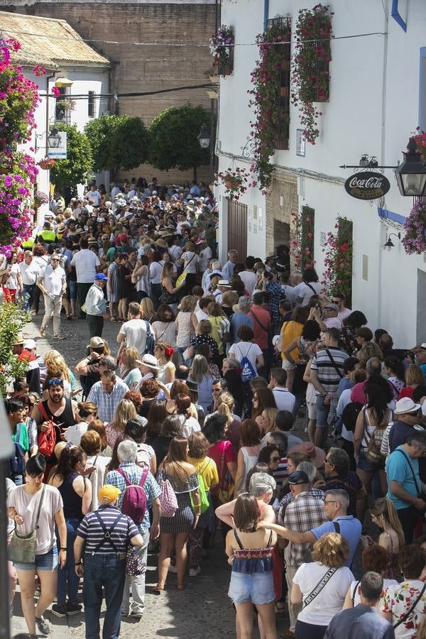 Bullas y belleza de los Patios de Córdoba, en imágenes