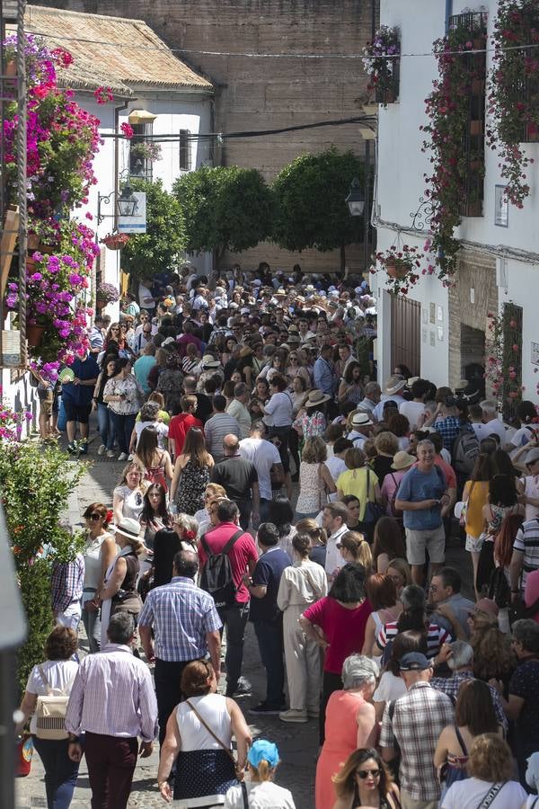 Bullas y belleza de los Patios de Córdoba, en imágenes