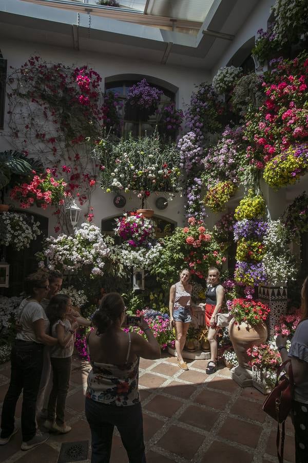 Bullas y belleza de los Patios de Córdoba, en imágenes