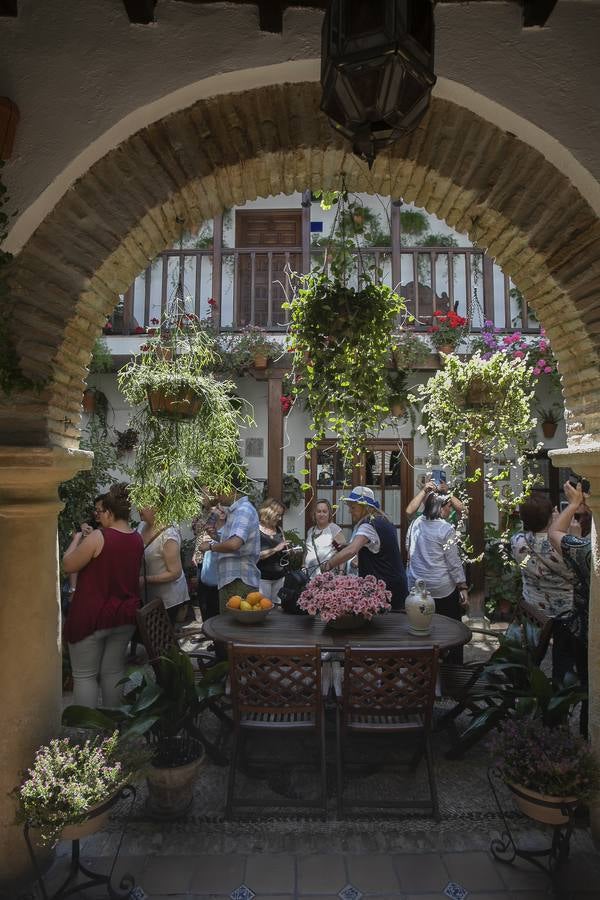 Bullas y belleza de los Patios de Córdoba, en imágenes