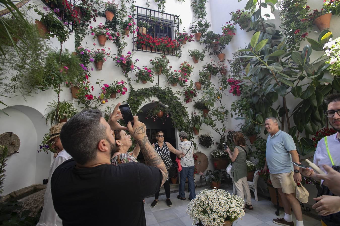 Bullas y belleza de los Patios de Córdoba, en imágenes