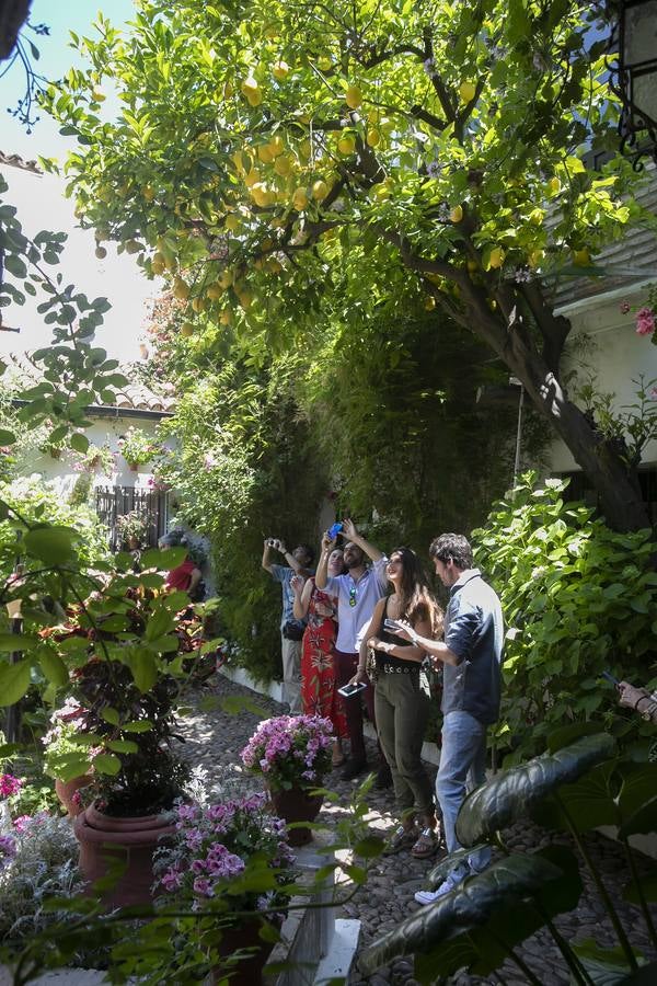 Bullas y belleza de los Patios de Córdoba, en imágenes