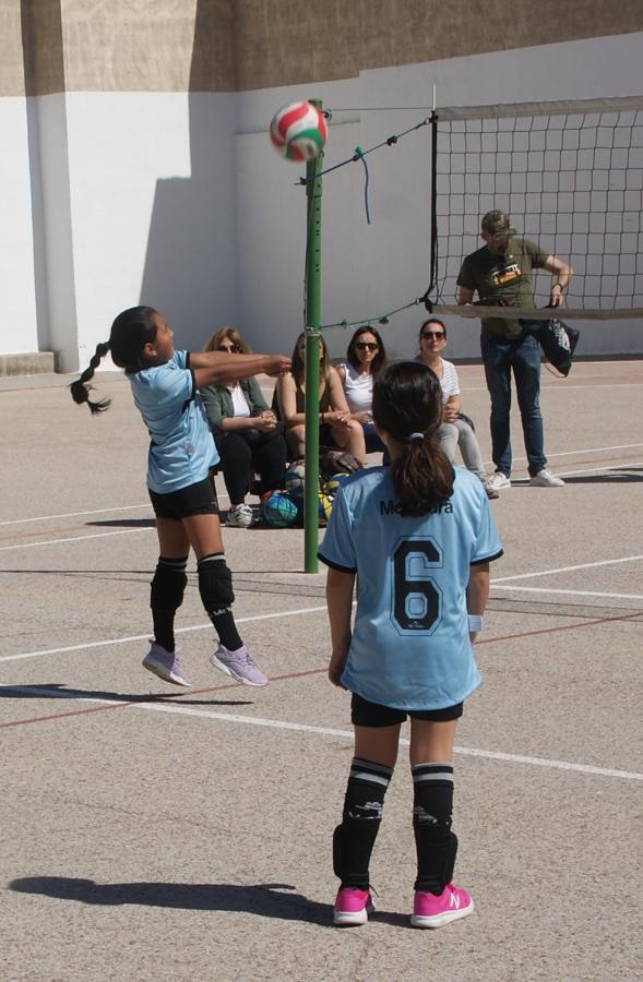 Las mejores imágenes del encuentro de voley entre Raimundo Lulio y Obispo Perelló A