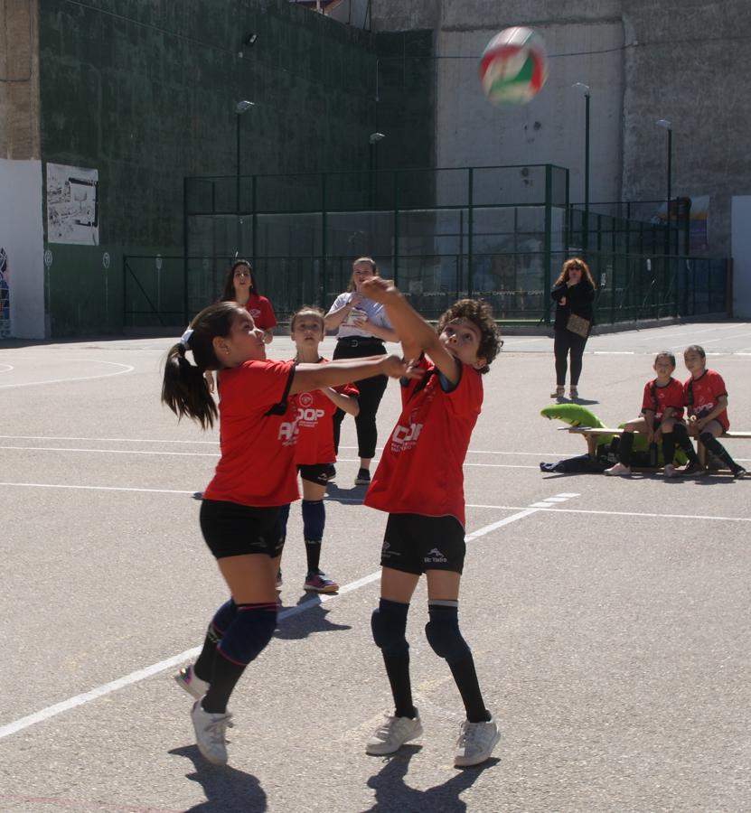 Las mejores imágenes del encuentro de voley entre Raimundo Lulio y Obispo Perelló A