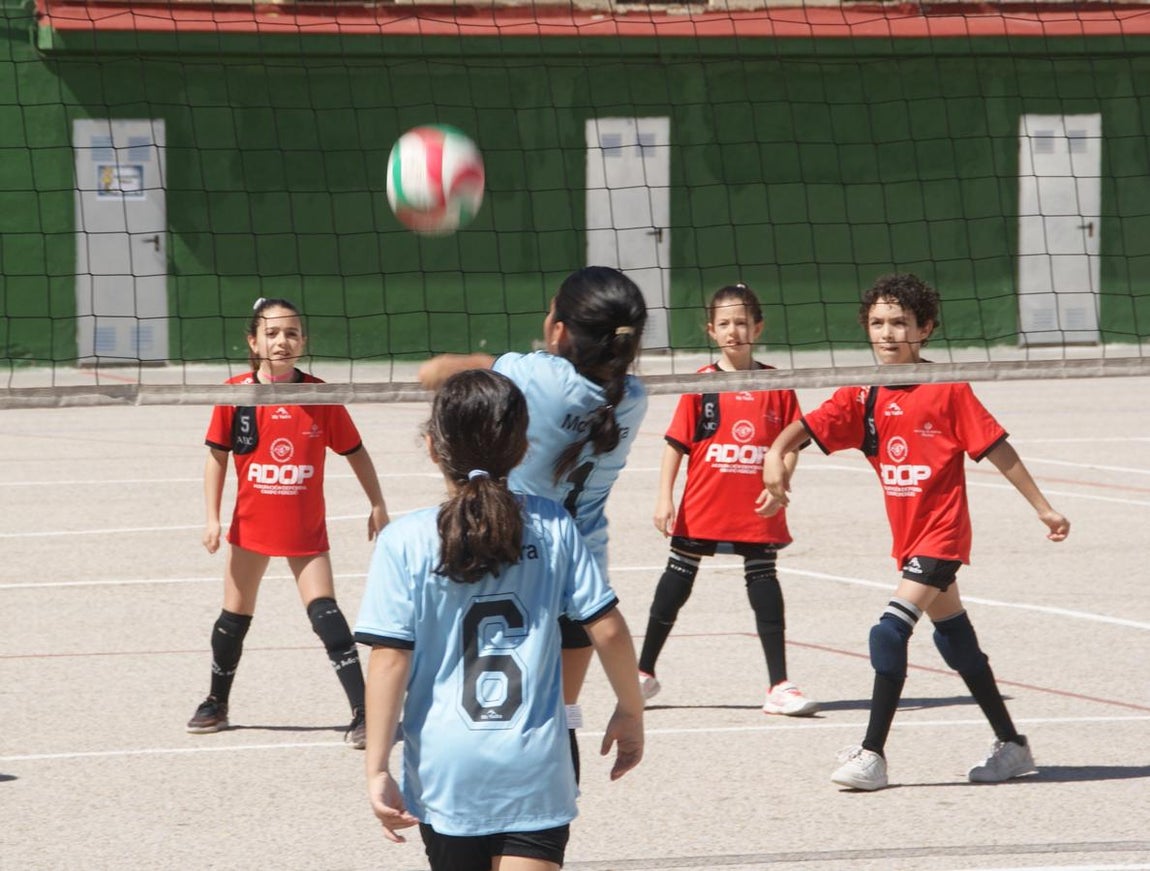 Las mejores imágenes del encuentro de voley entre Raimundo Lulio y Obispo Perelló A