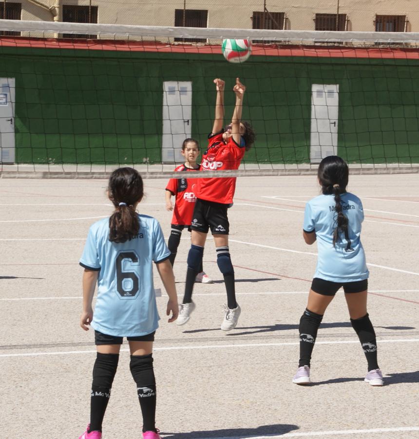 Las mejores imágenes del encuentro de voley entre Raimundo Lulio y Obispo Perelló A