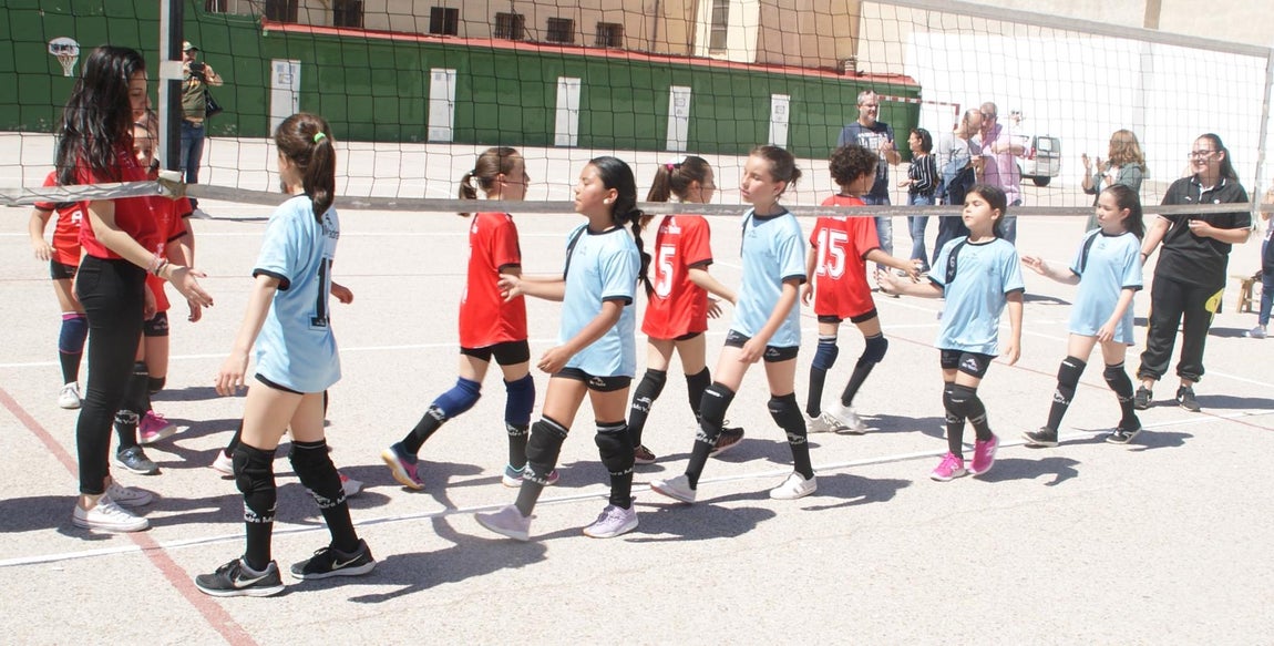 Las mejores imágenes del encuentro de voley entre Raimundo Lulio y Obispo Perelló A