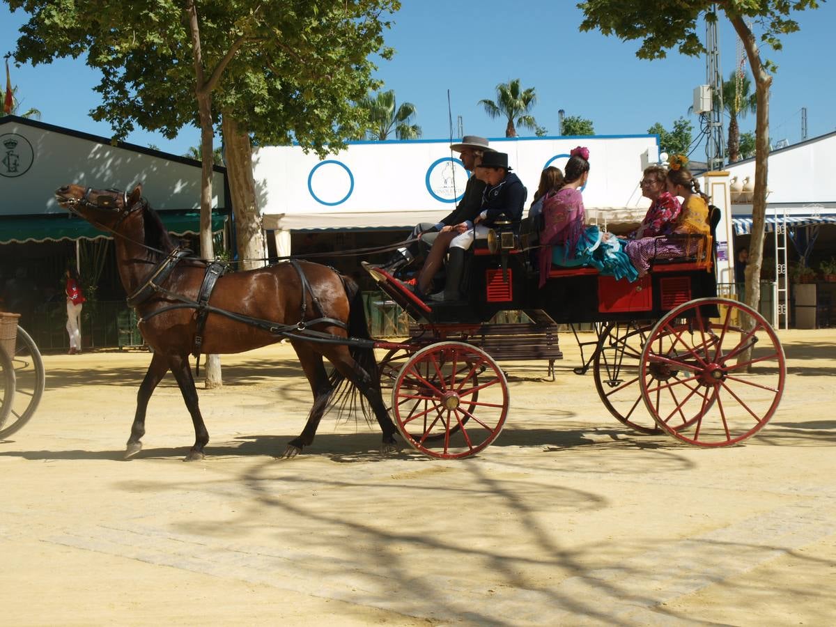 Paseo en coche de caballos