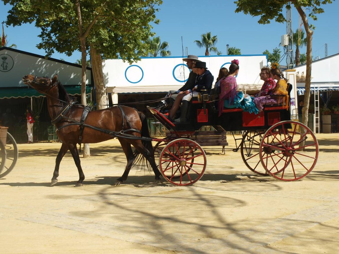 Paseo en coche de caballos