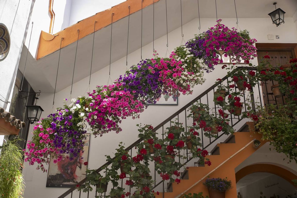 La autenticidad de los Patios de Córdoba en Santa Marina y San Agustín, en imágenes