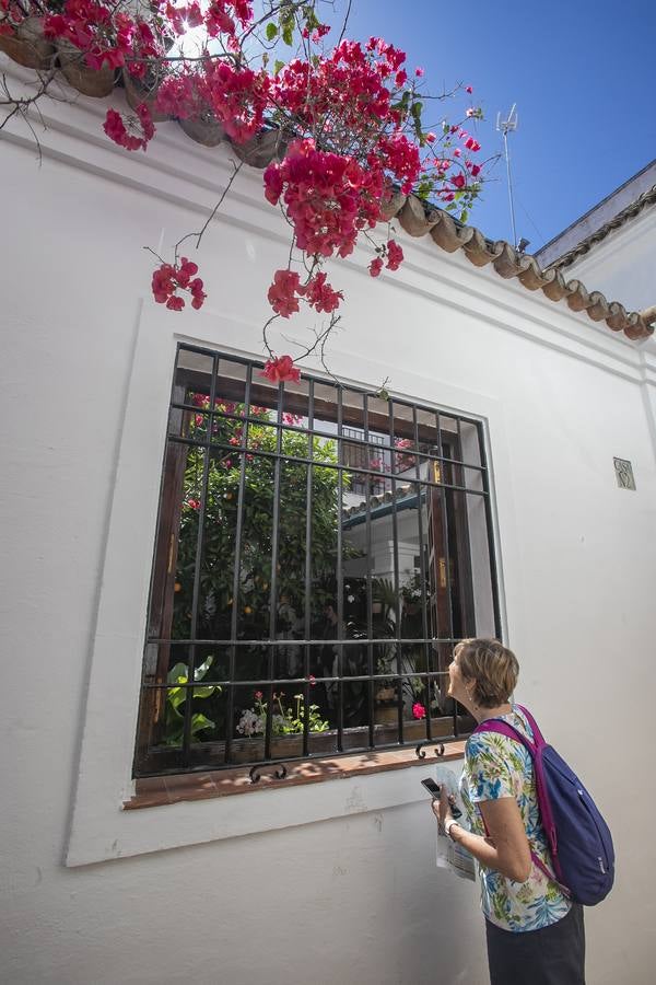 La autenticidad de los Patios de Córdoba en Santa Marina y San Agustín, en imágenes