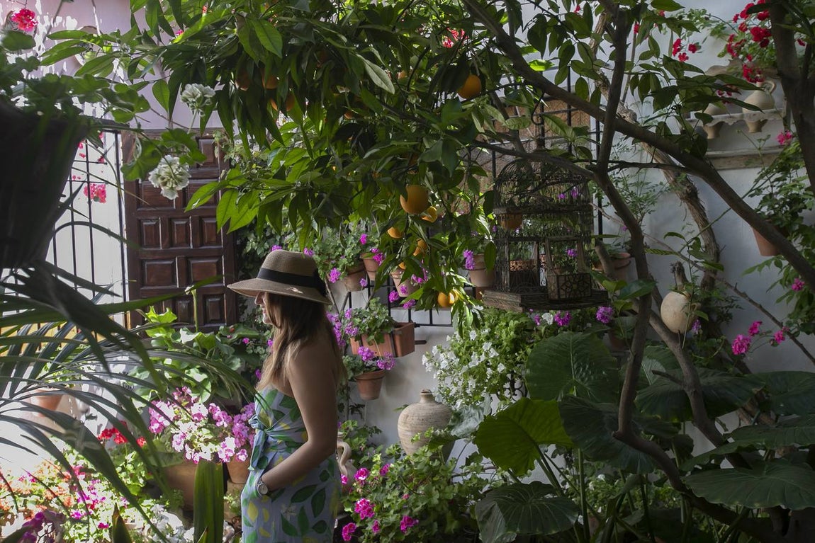 La autenticidad de los Patios de Córdoba en Santa Marina y San Agustín, en imágenes