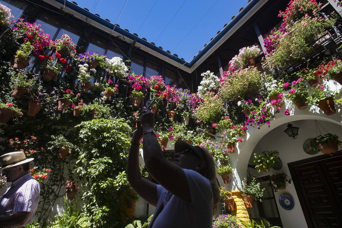 La autenticidad de los Patios de Córdoba en Santa Marina y San Agustín, en imágenes