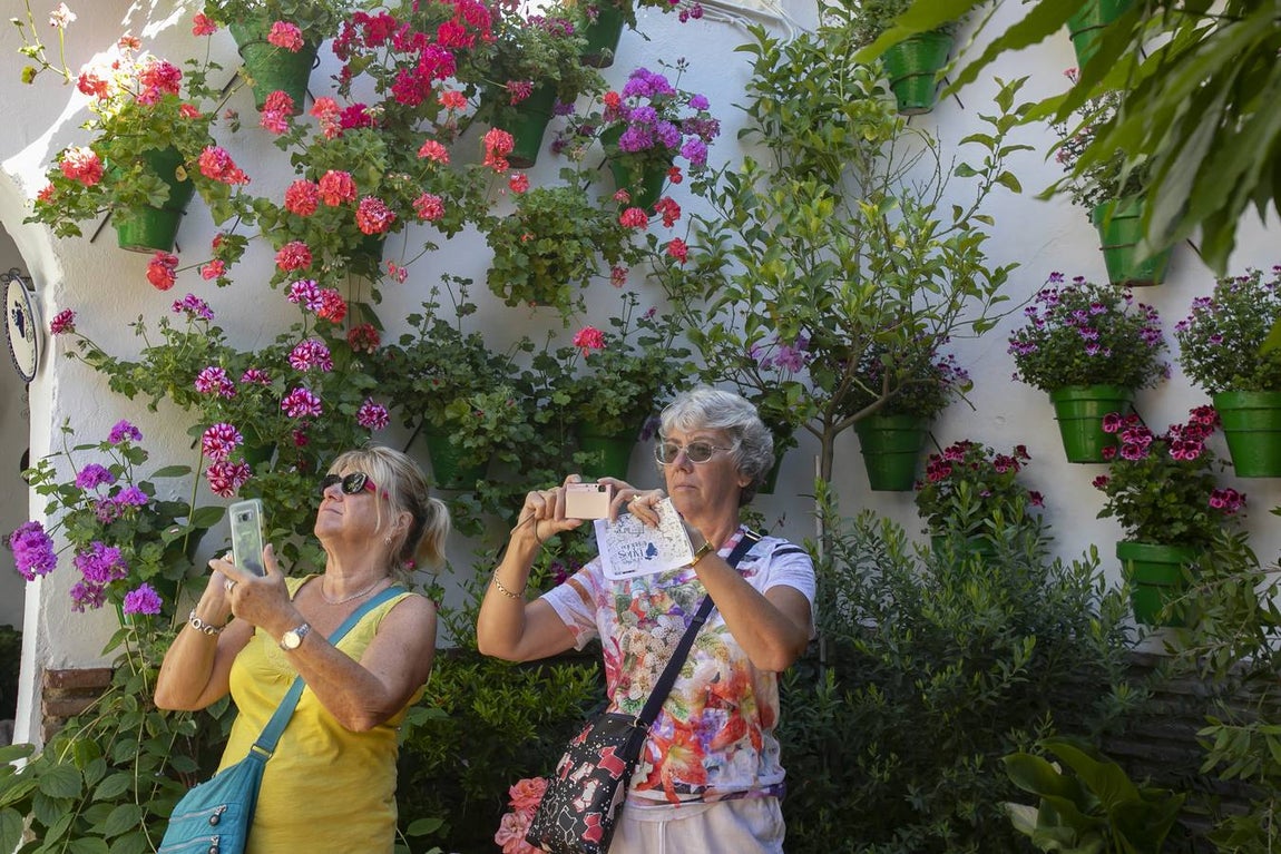 La autenticidad de los Patios de Córdoba en Santa Marina y San Agustín, en imágenes