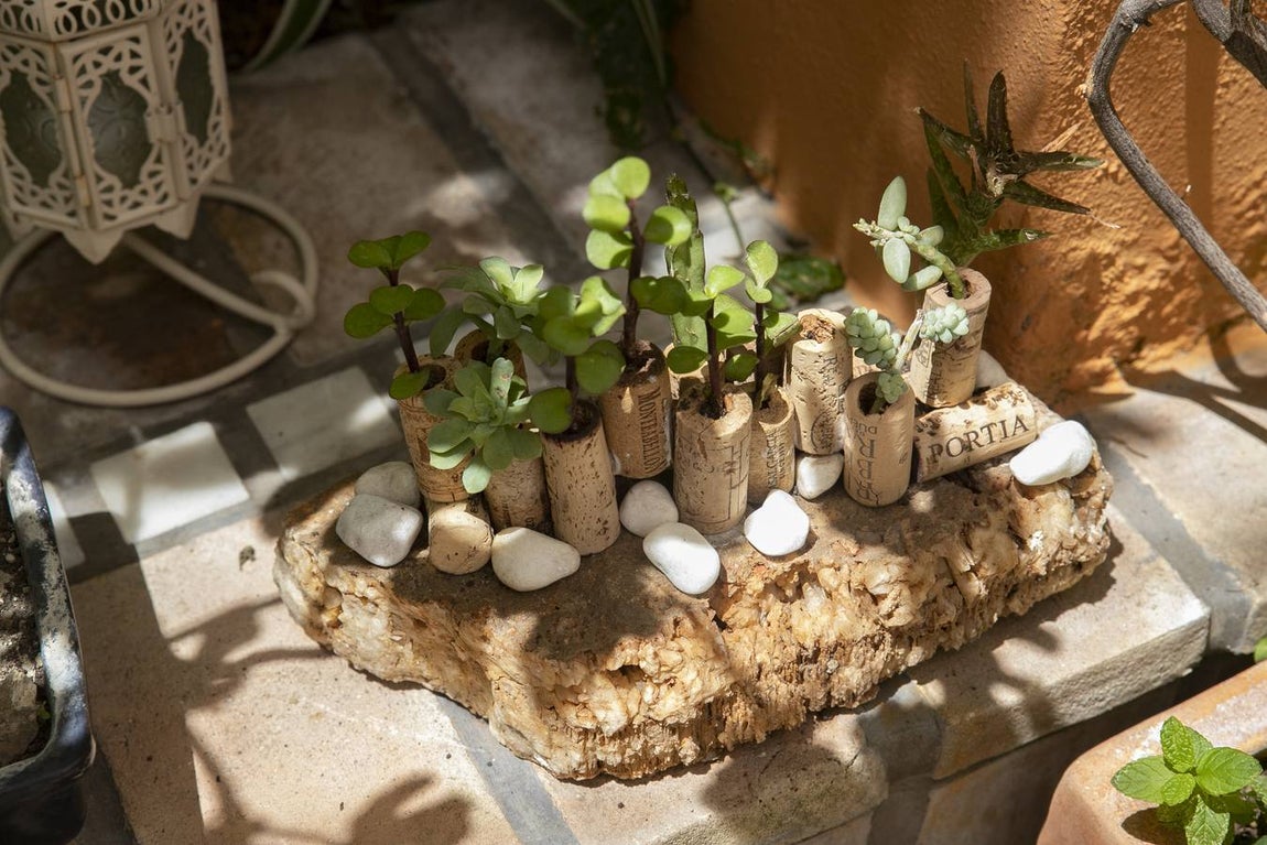 La autenticidad de los Patios de Córdoba en Santa Marina y San Agustín, en imágenes