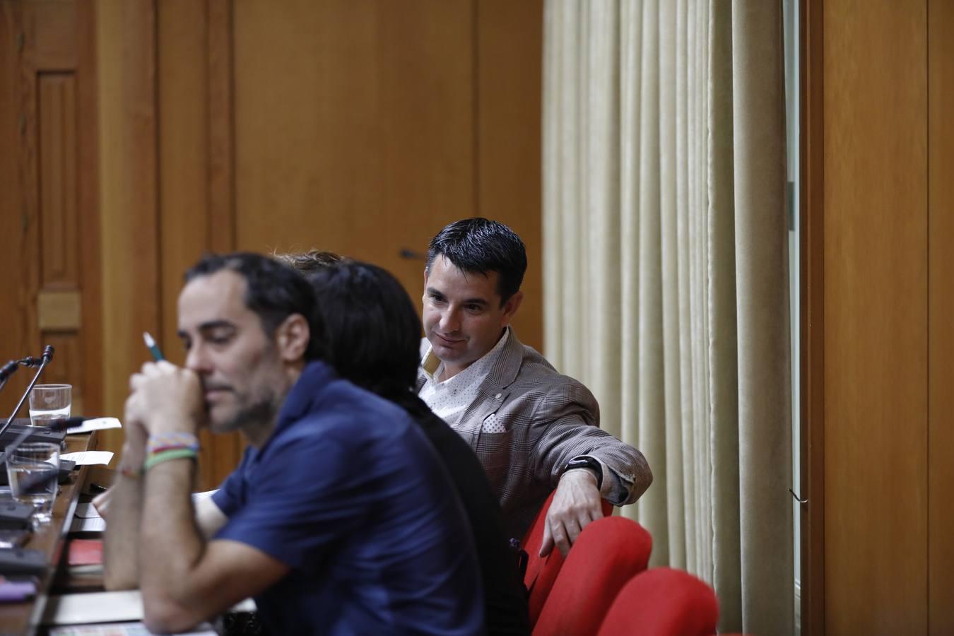 En imágenes, el último Pleno del mandato en el Ayuntamiento de Córdoba