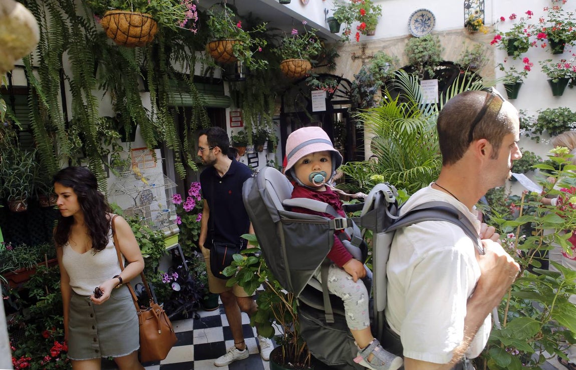 El encanto de los Patios de San Francisco y la Judería de Córdoba, en imágenes