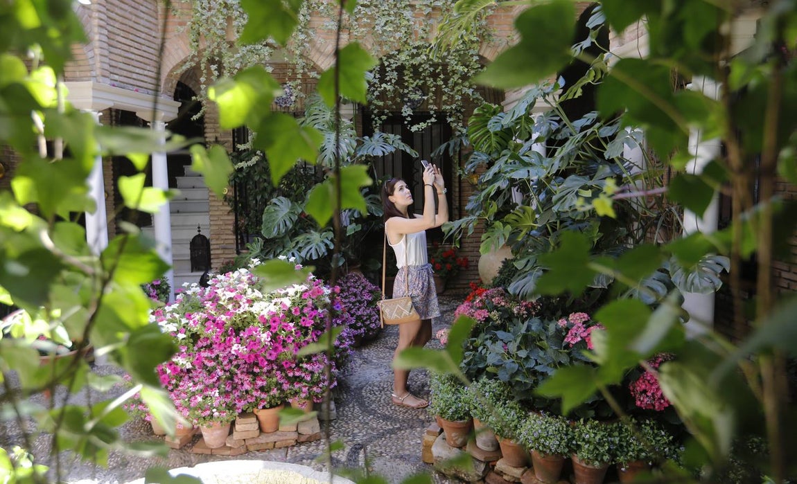 El encanto de los Patios de San Francisco y la Judería de Córdoba, en imágenes