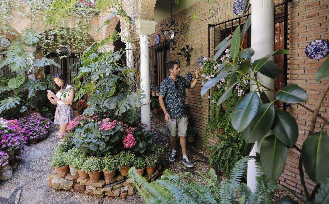 El encanto de los Patios de San Francisco y la Judería de Córdoba, en imágenes