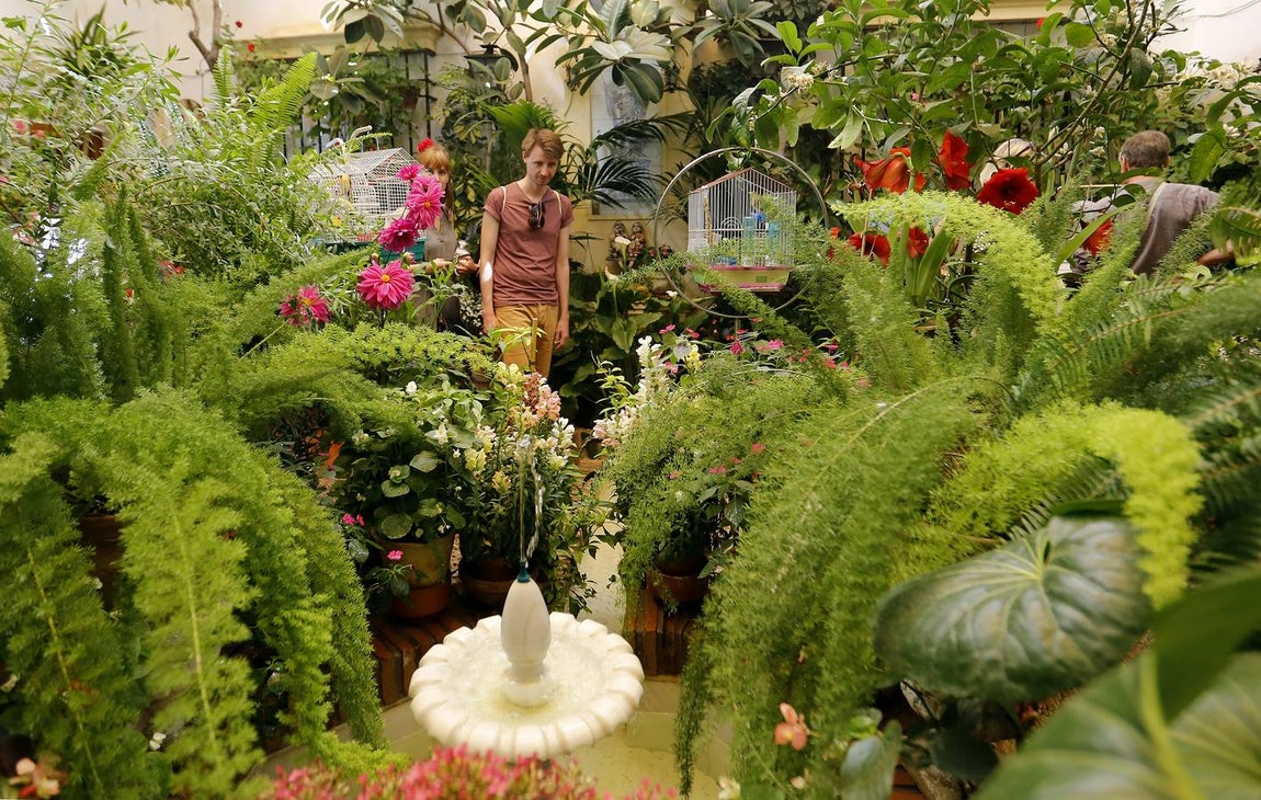 El encanto de los Patios de San Francisco y la Judería de Córdoba, en imágenes