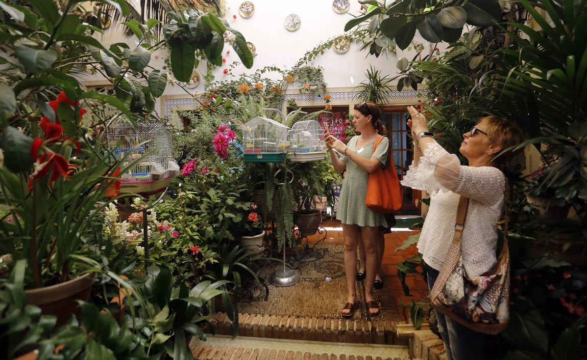 El encanto de los Patios de San Francisco y la Judería de Córdoba, en imágenes