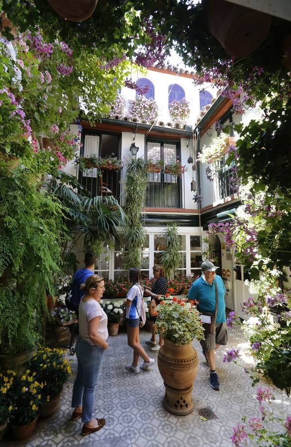 El encanto de los Patios de San Francisco y la Judería de Córdoba, en imágenes