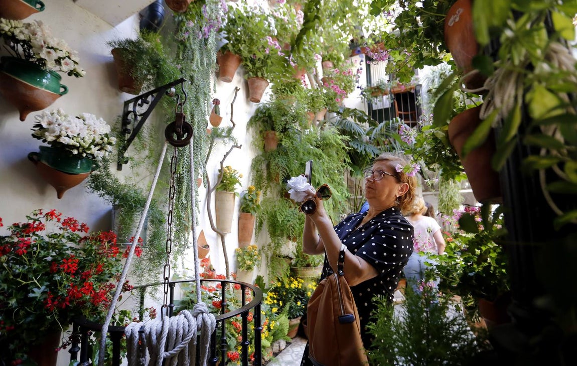 El encanto de los Patios de San Francisco y la Judería de Córdoba, en imágenes